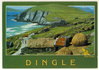 IRLANDE - CPM NEUVE - DINGLE - CO. KERRY - Kerry