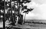 Andernos Les Bains*plage Du Betey...1950 - Andernos-les-Bains