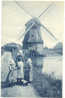 Molen - VOLENDAM  - Moulins - Windmills- Styl Blue Delft Cards (810) - Volendam