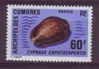 Comores N°21 ** Coquillage Cypraea - Andere & Zonder Classificatie