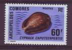 Comores N°21 ** Coquillage Cypraea - Sonstige & Ohne Zuordnung