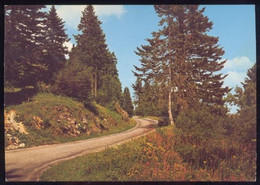 CPM 23 Environs De Guéret D'après Le Cachet La Route Des Fleurs - Guéret