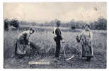 C1950 - Récolte En Ardennes - Landwirtschaftl. Anbau