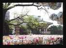 Buddha´s Birthday At Chogyesa Temple In Seoul - Corea Del Sur