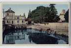 Cpa DOUE LA FONTAINE Le Bassin Aux Chevaux - Cheval Qui S'abreuve - CIM Jolie Carte Couleur - Doue La Fontaine