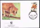 CONGO Lettre De Brazzaville Du 3/06/1997  WWF Mammifère Primate Arctocèbe 90f - Afgestempeld