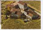 33.536/ST EMILION -Chateau Vieux Larmande -moderne - Saint-Emilion