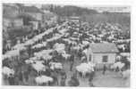 58 )FL) CHATILLON EN BAZOIS, Une Foire Du Mois De Mars (thème Marché), R.N. 1106 - Chatillon En Bazois