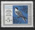 BULGARIA - BULGARIE - 1968 - STERNE - YT 1630 ** - Seagulls