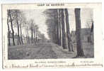 C3108 - Camp De BEVERLOO - Rue L' Olivier - Habitations D' Officiers - Leopoldsburg (Kamp Van Beverloo)