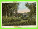 ST-PETERSBURG, FL -SCENE IN THE JUNGLE AT DAVISTA - ANIMATED TRAMWAY - TRAVEL IN 1923 - E.C. KROFF CO - - St Petersburg