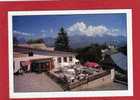 CPSM. FROMAGERIE DU COL BAYARD. LAYE EN CHAMPSAUR. RESTAURANT.FROMAGES. - Restaurants