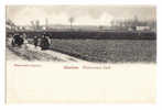 C1985 - ROULERS - Panorama Sud - Roeselare