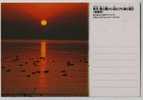Japan Lake Biwa Mandarin Duck Landscape Postal Stationery Card - Entenvögel