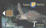 FAUNA IBERICA - 1997.03. - TORTUGA BOBA - TURTLE - Emissions Basiques