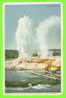 YELLOWSTONE PARK, WY - THE GIANT GEYSER UPPER GEYSER BASIN - TRAVEL IN 1910 - - Yellowstone