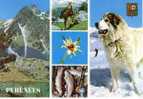 Pyrénées Faune Et Flore Chien "Patou" Des Pyrénées Truites  Izard  Edelweiss  Multi-vues   Blason  TBE - Midi-Pyrénées