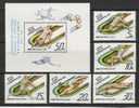 R123.-.RUSSIA / SOVIET UNION / RUSIA- 1988- OLYMPIQUES SEOUL`88- SCOTT # : 5680-5685 - MNH - Ete 1988: Séoul