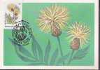 RUSSIE CARTE MAXIMUM NUM.YVERT 5279 FLEURS DE LA STEPPE - Cartes Maximum