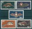 3279 Bulgaria 1983 World Wildlife Fund  WWF ** MNH /Animals, Bats / Geschutzte Saugetiere - Fledermäuse