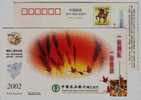 Red-crowned Crane,rice Fringe,China 2002 Jingjiang Agricultural Bank Advertising Pre-stamped Card - Grues Et Gruiformes