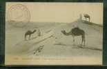 MAROC FM Carte Postale Desert 1916 Corps D´occupation 113° Compagnie Ter. - Other & Unclassified