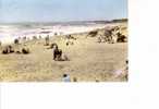 BRETIGNOLLES SUR MER - Plage Des Dunes  -  N° 1 - Bretignolles Sur Mer