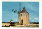 Fontvieille: Le Moulin De Daudet (07-3666) - Fontvieille