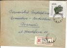 POL145 /  - POLEN -/   Frosch (frog) 1966 (frog, Rana) - Storia Postale