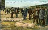 ROYAUME UNI - IRISH PIG FAIR - FOIRE Au COCHONS - AGRICULTURE - FERME - SERIE VALENTINE'S - Autres & Non Classés