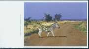 Zebra - A Walking Grevy's Zebra, China Postcard With Weekly Calendar, Week 13 Of 2005 - Zèbres