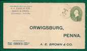 USA - ADVERTISEMENT BOOTS & SHOES - 1895 ENTIRE COVER From HERSEY, MICH To ORWIGSBURG, PENN - Reception At Back - ...-1900