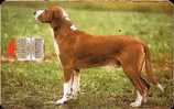 Croatia - Dog - Posavski Gonic - 100.000ex - Croatia