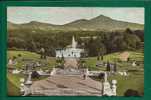 IRELAND - SUGAR LOAF MOUNTAIN From TERRACE POWERSCOURTCo WICKLOW - UNUSED C/1910/20´s POSTCARD - Pubs. LAWRENCE, Dublin - Dublin