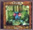 HEADSWIM   FLOOD °°°°°  Cd - Altri - Inglese