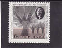 Pologne 1980 -  Yv.no. 2531 Neuf** - Nuovi