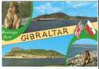 GIBRALTAR - Gibraltar