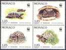 Monaco Animaux Reptiles & Batraciens N° 1805 à 1808 ** Nature - WWF - La Tortue  D Herman - Turtles