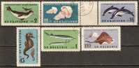 Bulgaria 1961 Mi# 1243-1248 Used - Gebruikt