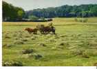 La Fenaison - Aspect Pittoresque De Nos Campagnes  - - Landwirtschaftl. Anbau