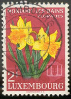 Pays : 286,04 (Luxembourg)  Yvert Et Tellier N° :   491 (o) - Used Stamps