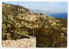 COULEURS ET LUMIERES DE FRANCE La Côte D´Azur, Miracle De La Nature ROQUEBRUNE Vue Générale (7A1974) - Roquebrune-Cap-Martin