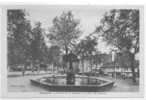 81 )FL) GRAUHLET, L'arbre Sur La Fontaine Et La Place Du Jourdain, Ed Rives (carte Bistre Bords Blancs) - Graulhet