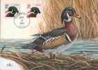 CPJ Usa 1991 Oiseaux Canards Wood Duck - Canards