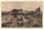 Logne (Ferrières). Ruines De La Forteresse. Accès Au Donjon. Ruïnes Van De Burcht. Toegong Tot De Burchttoren. - Ferrières