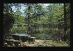 State Park Picnic And Recreation Area - Lake Providence, Louisiana - Other & Unclassified