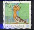 POLOGNE POLAND 1982 YT 2665  HUPPE  -OB. TB - Spechten En Klimvogels