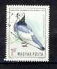 HONGRIE 1969 YT 2090   PIGEON  -OB. TB - Pigeons & Columbiformes