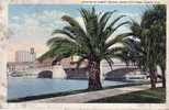 Tampa - Lafayette Street Bridge From City Park - Tampa