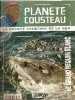 Fasicule Planete Cousteau  N° 3 LE GRAND REQUIN BLANC - Magazines